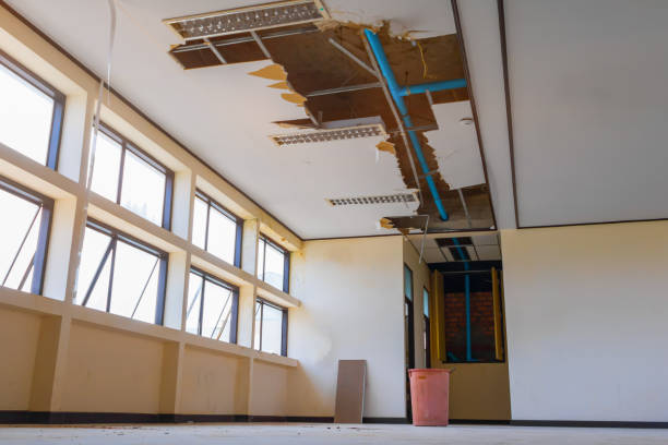 Best Ceiling water damage repair  in Joseph City, AZ