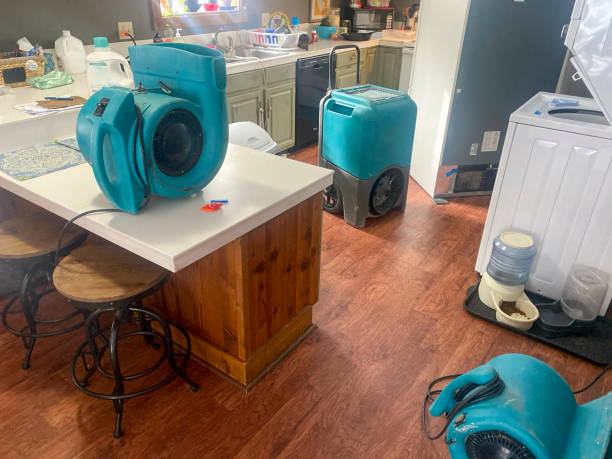 Best Local water damage restoration  in Joseph City, AZ
