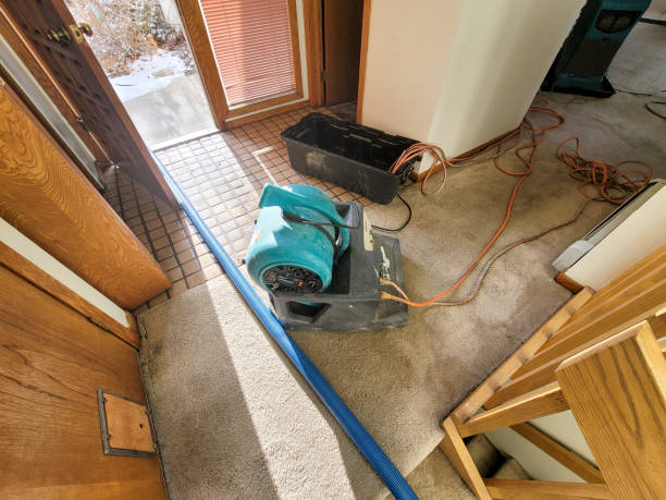 Best 24-hour water damage restoration  in Joseph City, AZ