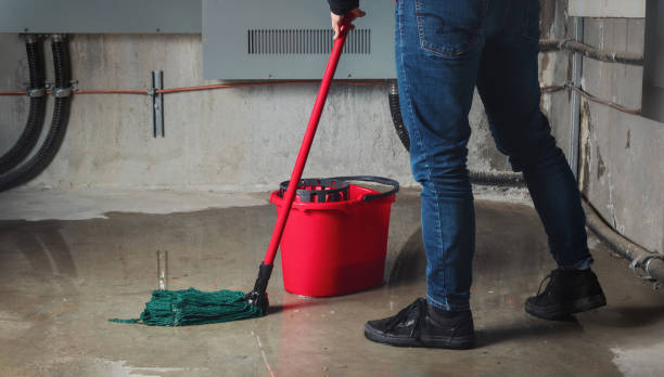 Best Flood restoration services  in Joseph City, AZ