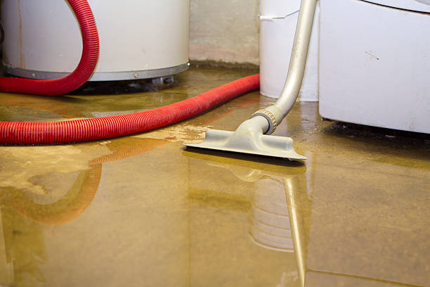 Professional Water damage restoration in AZ