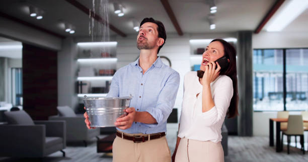 Best Professional water damage repair  in Joseph City, AZ